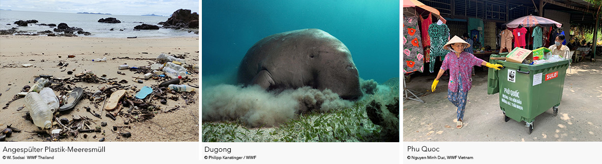 Image Copyright: WWF