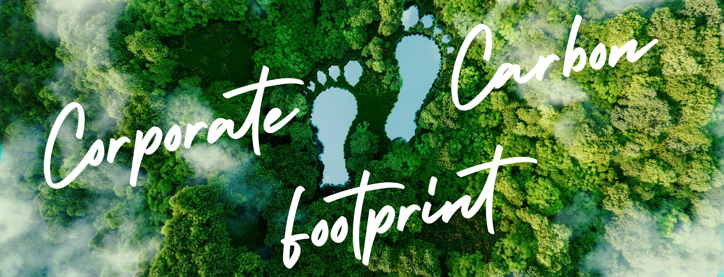 cosnova corporate carbon footprint