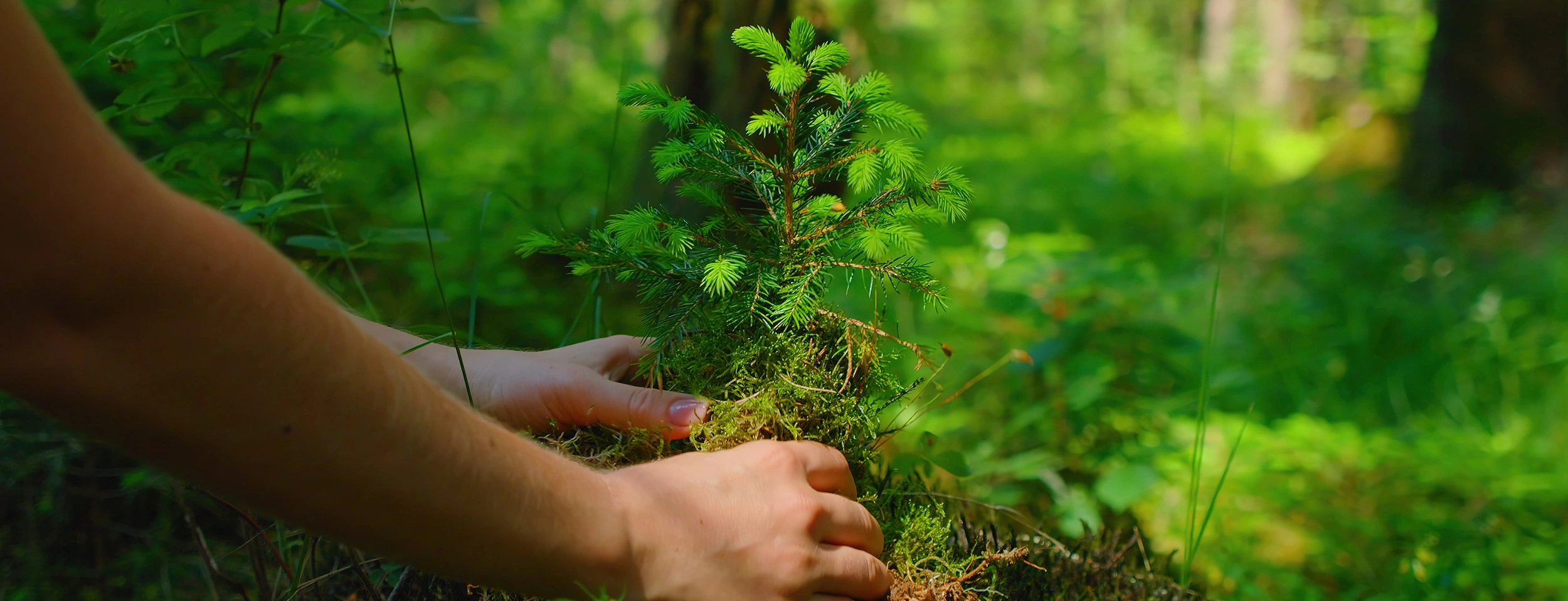 Copyright picture: iStock Olga Gorkun